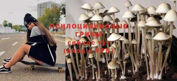 прущая мука Богданович