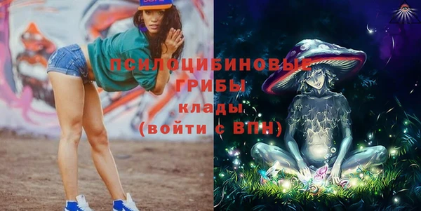гидропоника Богородск