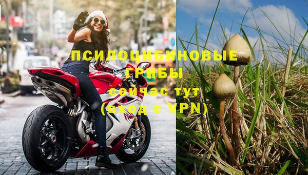 прущая мука Богданович