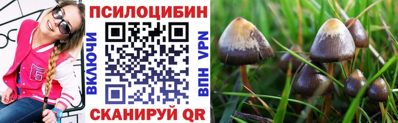 Псилоцибиновые грибы GOLDEN TEACHER  купить закладку  Надым 